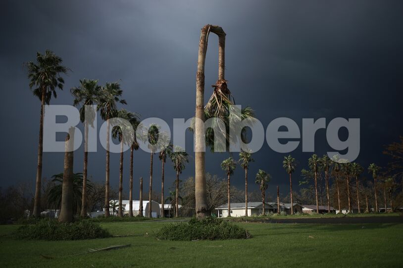 New Orleans Faces Days Without Power As Repair Work Begins