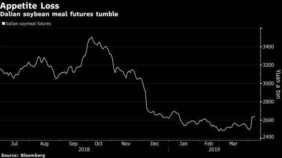 Traders Spooked as African Swine Fever Keeps Spreading