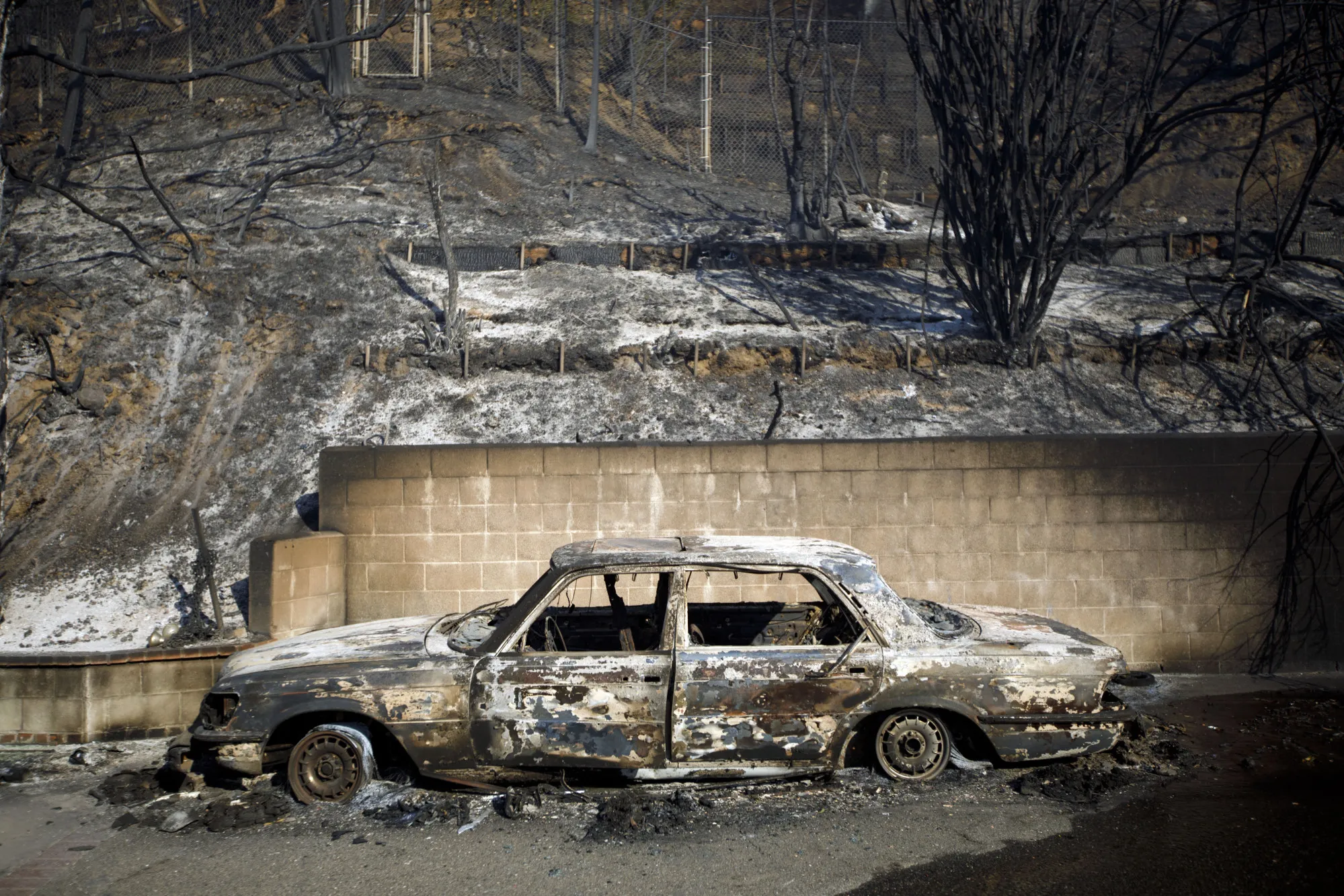 The aftermath of the&nbsp;Skirball Fire in&nbsp;Los Angeles, California, on Dec. 6, 2017.&nbsp;