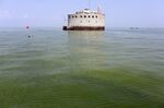 The City of Toledo water-intake crib in Lake Erie surrounded by algae, August 3, 2014.