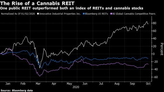 New REIT to Give Wary Investors an Entry Point: Cannabis Weekly