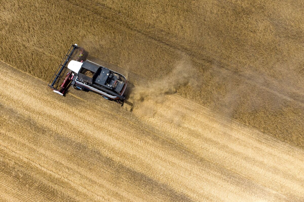 Kremlin Pushes to Keep Russia’s Edge as Biggest Wheat Exporter
