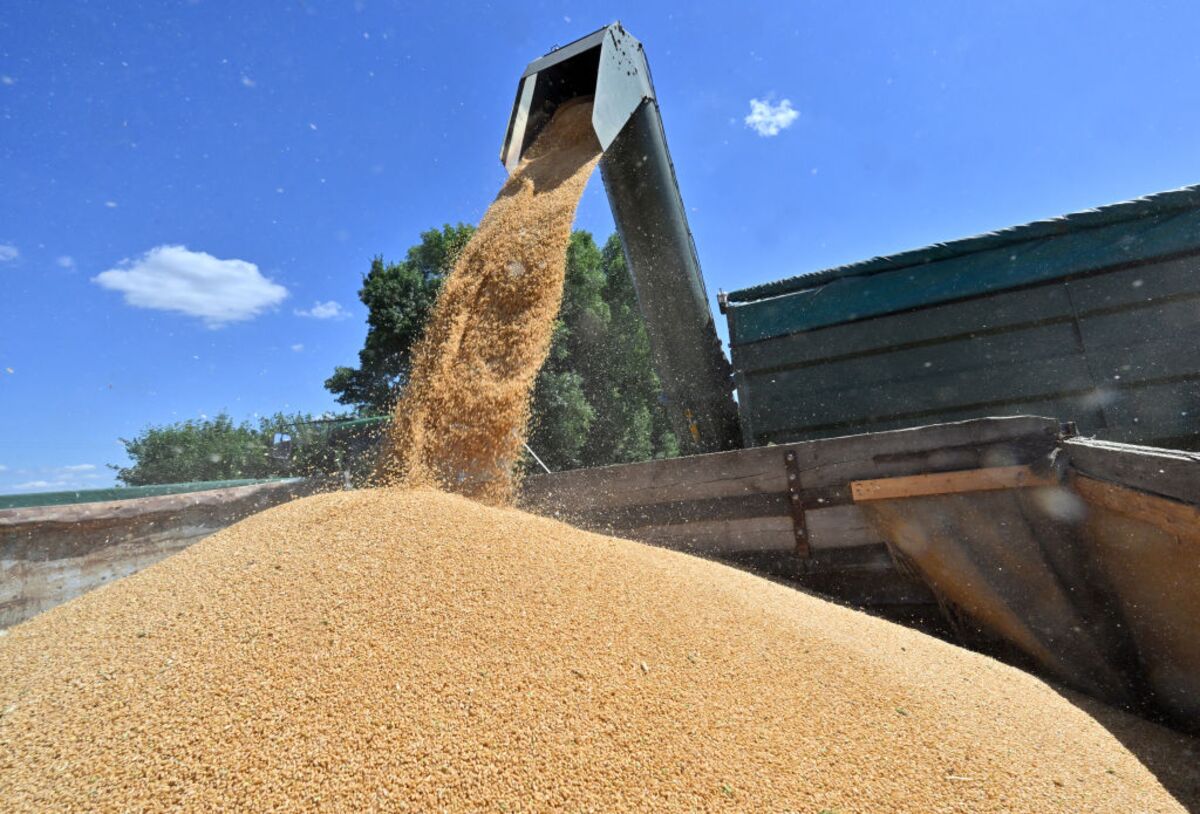 Food prices fall as farmers help fight inflation