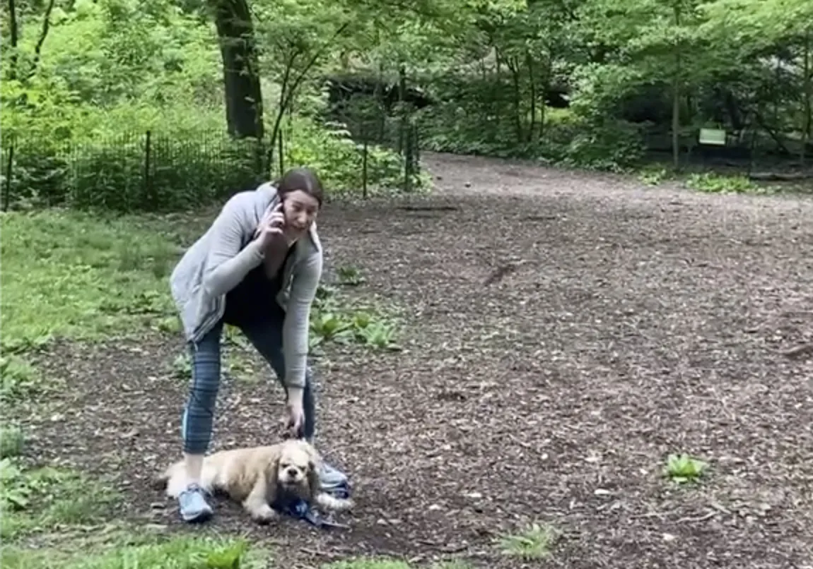 A still image from video of Amy Cooper with her dog calling police at Central Park in New York.