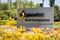 Symantec Corp. Headquarters As Broadcom Eyes Cybersecurity Software Maker