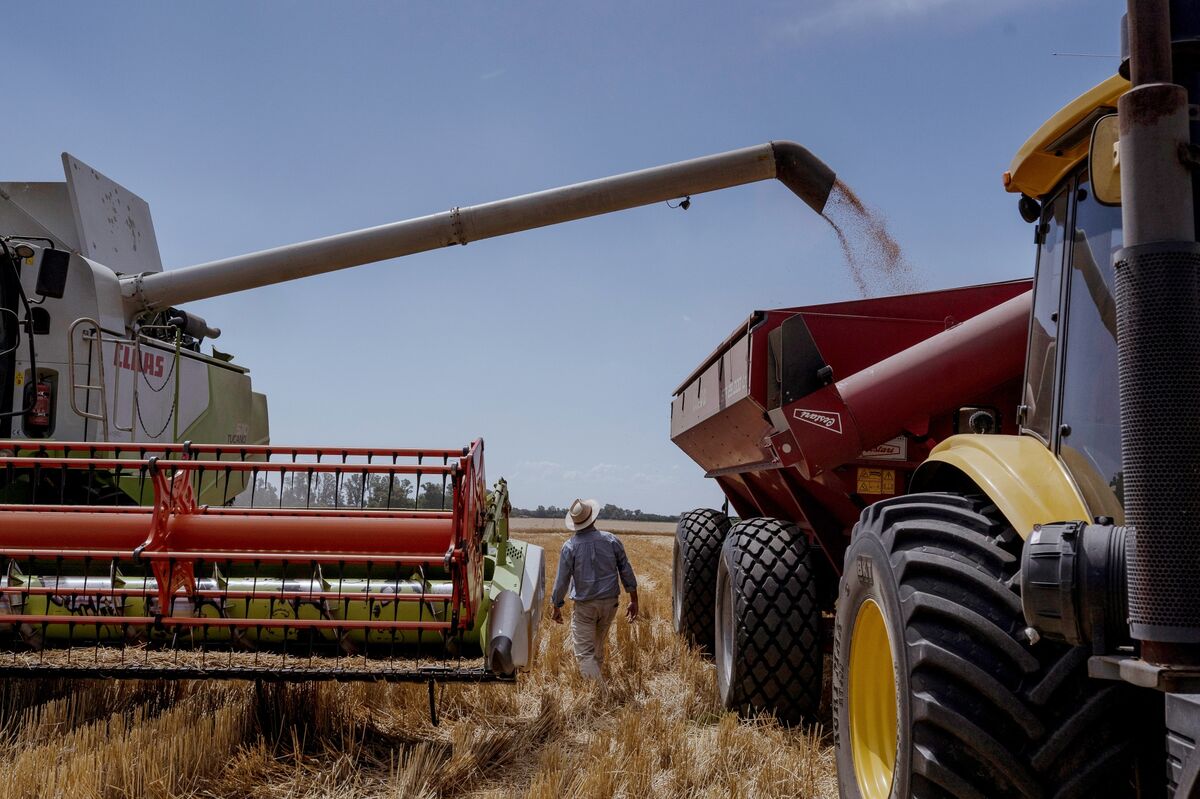 Cofco International Ships First Argentine Wheat Cargo to China