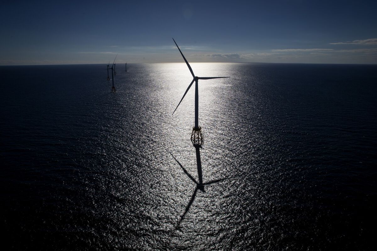 Trump Cancels More Wind Leases to Spur Oil and Gas Investment