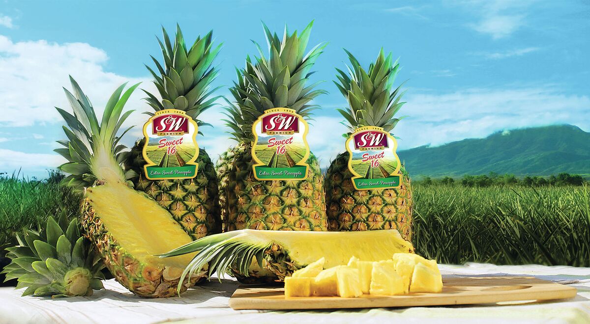 Del Monte Philippines Files for 791 Million Manila IPO Bloomberg