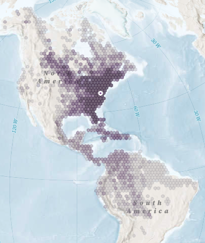 Exploring Bird Migration Map – Environment for the Americas