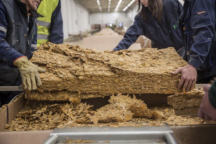 Tobacco Processing At Japan Tobacco Inc.'s Serbia Plant