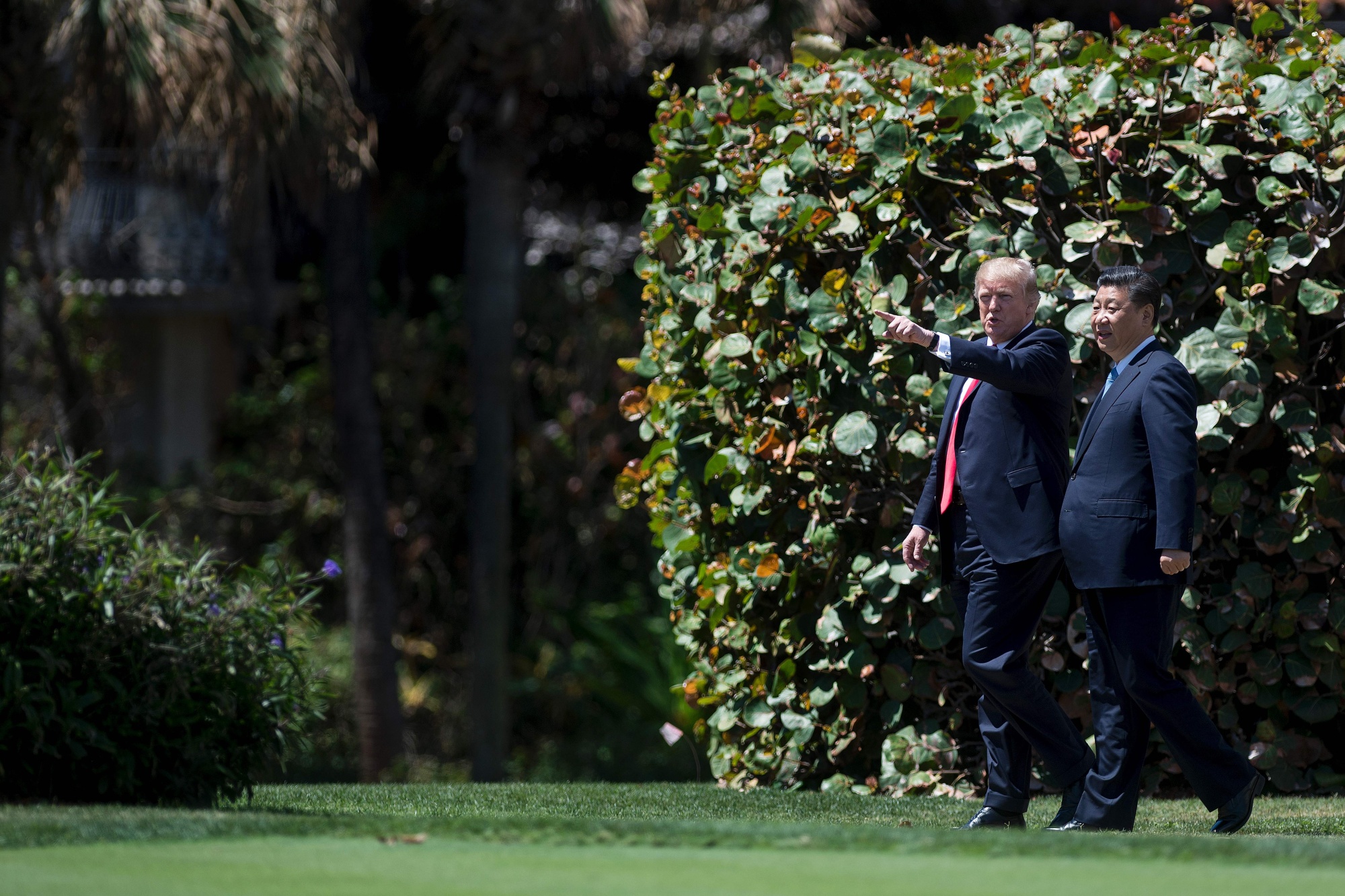 US President Donald Trump (L) and Chinese President Xi Jinping (R) walk together at the Mar-a-Lago estate in West Palm Beach, Florida, April 7, 2017. President Donald Trump entered a second day of talks with his Chinese counterpart Xi Jinping on Friday hoping to strike deals on trade and jobs after an overnight show of strength in Syria. / AFP PHOTO / JIM WATSON (Photo credit should read JIM WATSON/AFP via Getty Images)