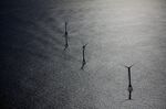 Views Of General Electric Co.'s First U.S. Offshore Wind Farm