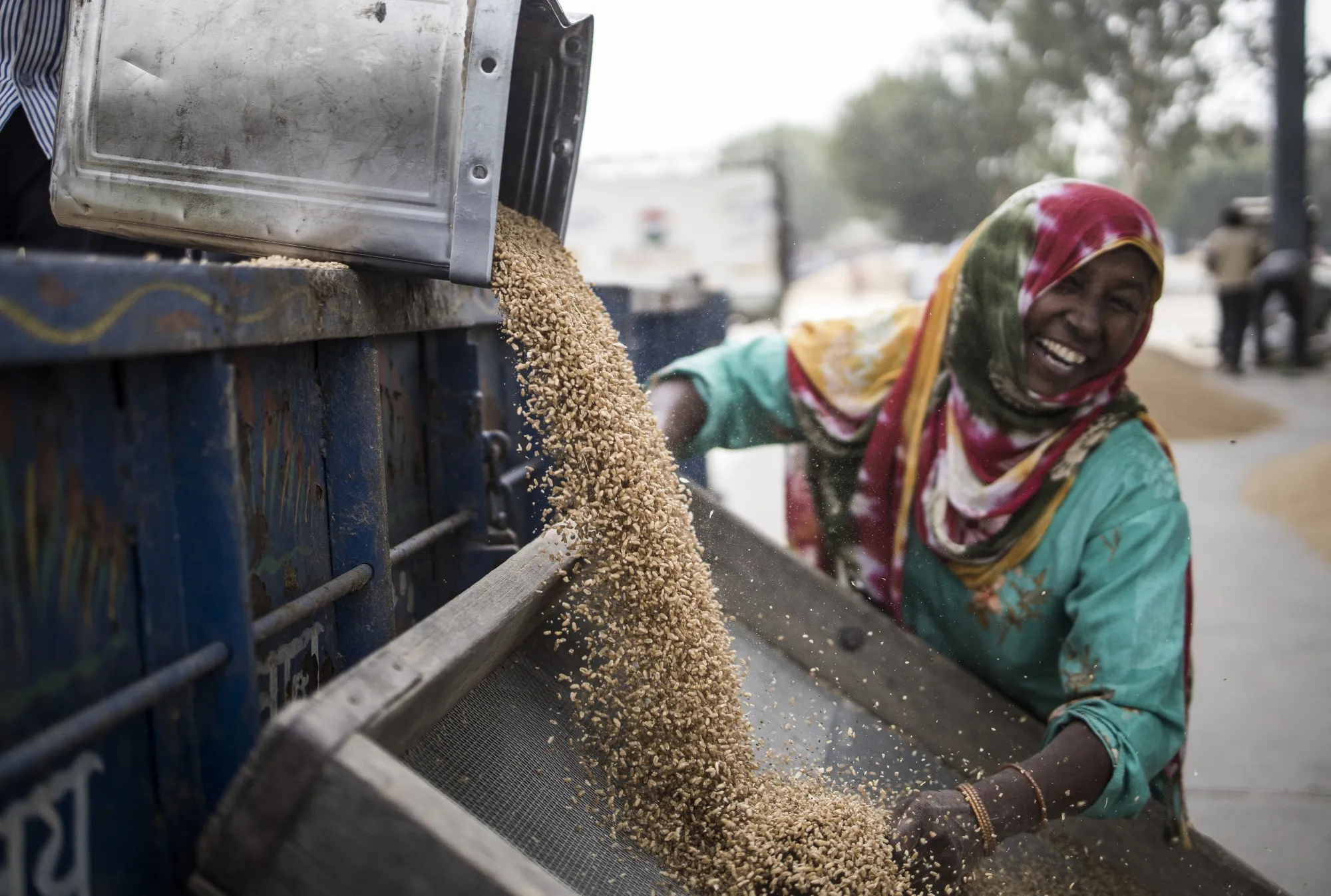 India Guards Wheat Crop After Extreme Heat Scorched Fields Last Year ...