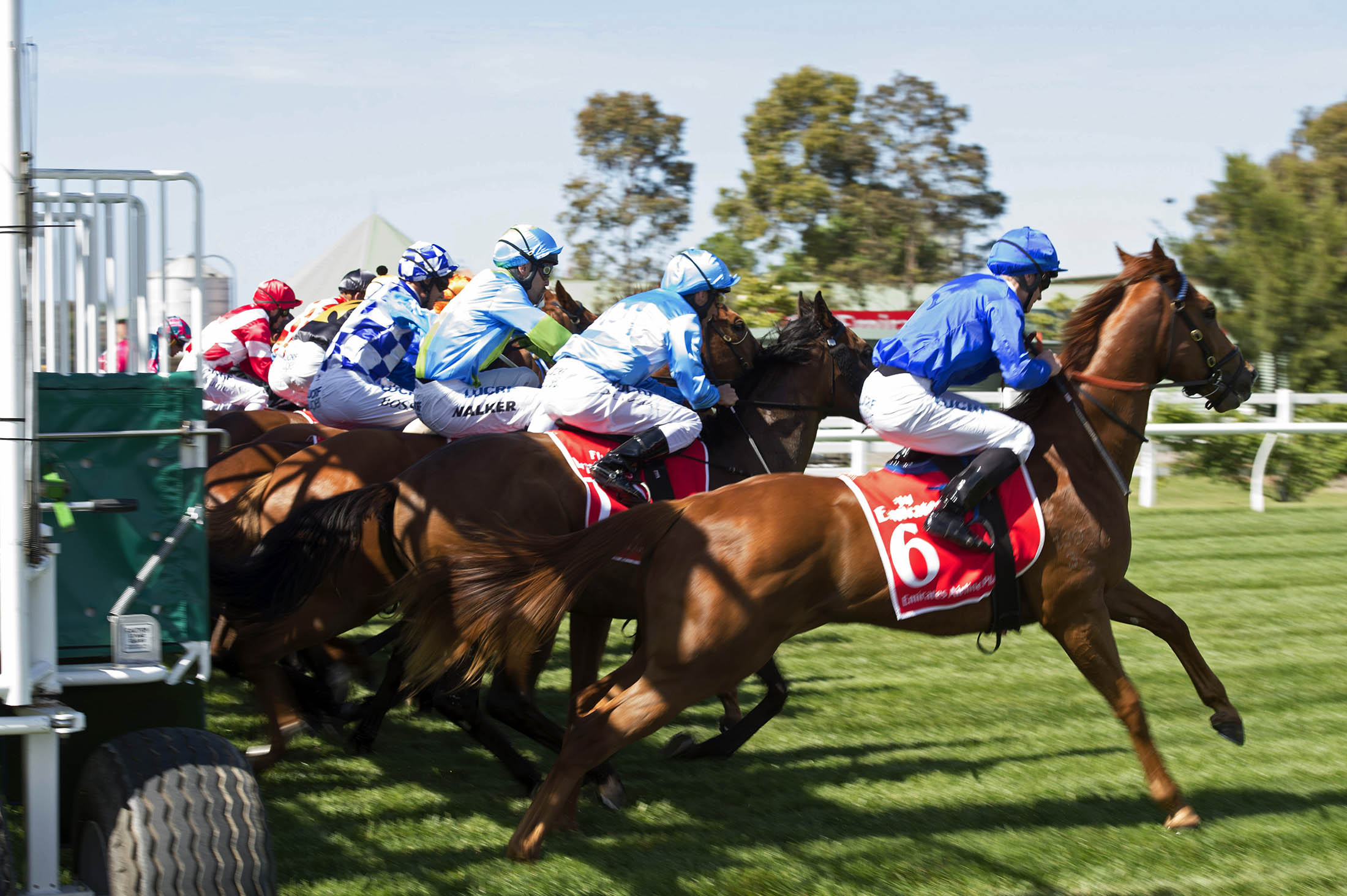 Horses gallop from the starting gate during the first race on Melbourne Cup day at the Flemington racecourse in Melbourne.
