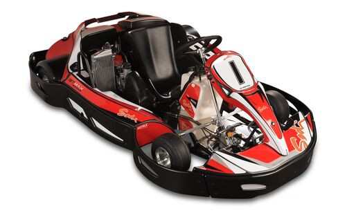 A model similar to the ranch's go-karts.