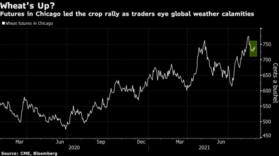 Wheat Gains as Traders Weigh Export Prospects Amid Hurricane Ida