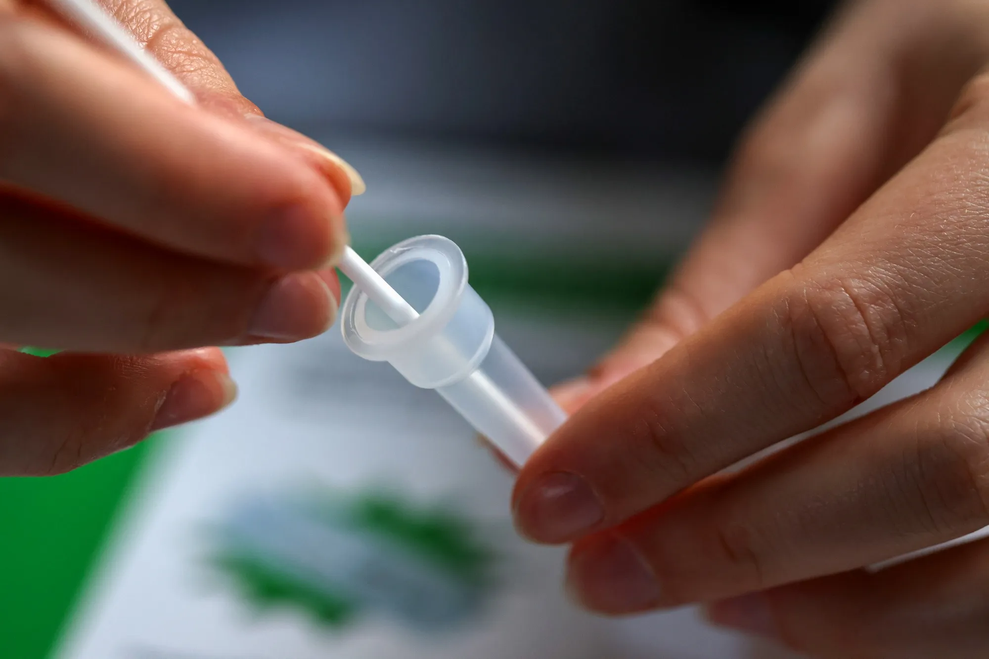 A swab from a Covid-19 lateral flow self-test kit.