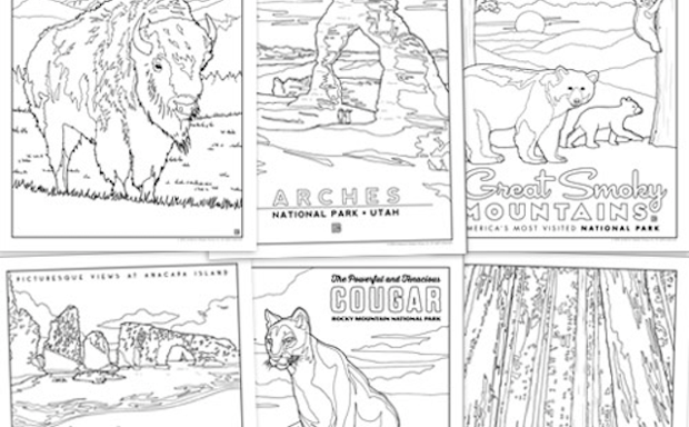 59 Illustrated National Parks Coloring Book Now Available From Anderson  Design Group - Bloomberg