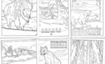relates to A Vintage-Style Coloring Book for America's National Parks