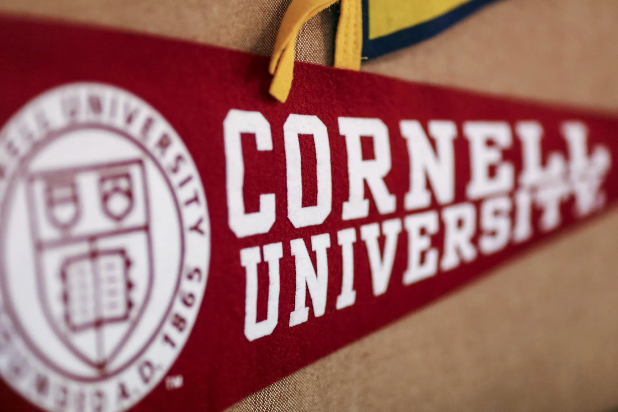 Indian Students Think Twice About Attending U.S. Universities