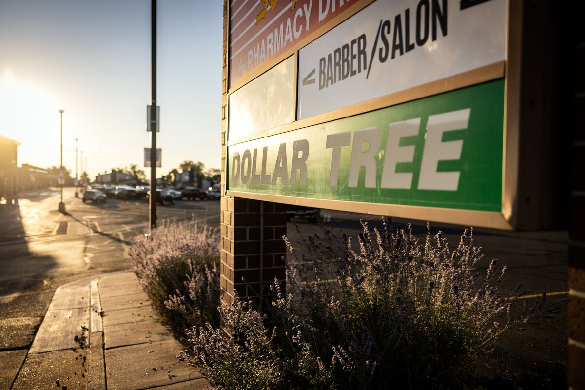 bloomberg.com - Redd Brown - Dollar Chains Offer Diverging Views on Challenging Retail Sector