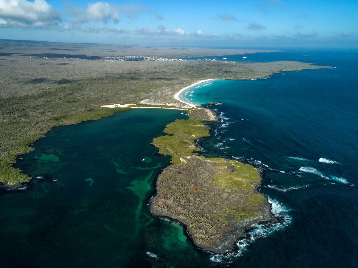 🟪"Miracoloso Salvataggio: Cinque Pescatori Sorpresi in Mare per 55 Giorni Rientrano alle Galapagos"