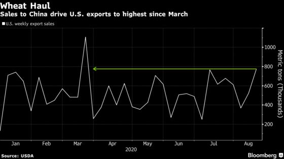 U.S. Wheat Passes Test, and Exports to China Jump in Trade Boost