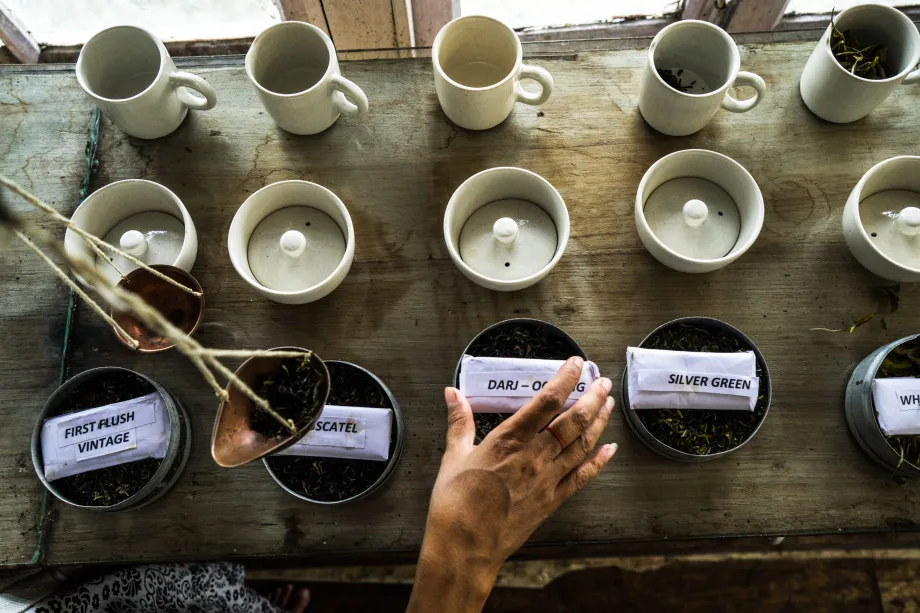 A variety of premium teas are weighed and laid out for tasting at the Makaibari Tea Estate in Darjeeling, India.