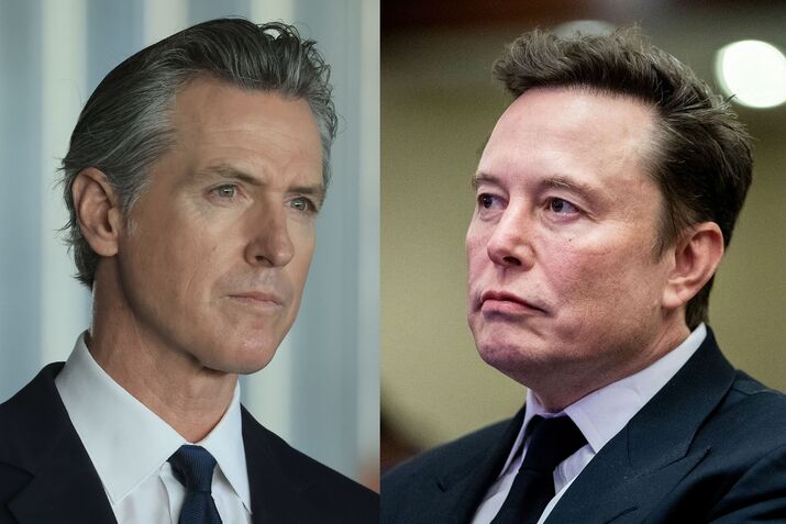 Newsom Musk COMBO DIPTYCH