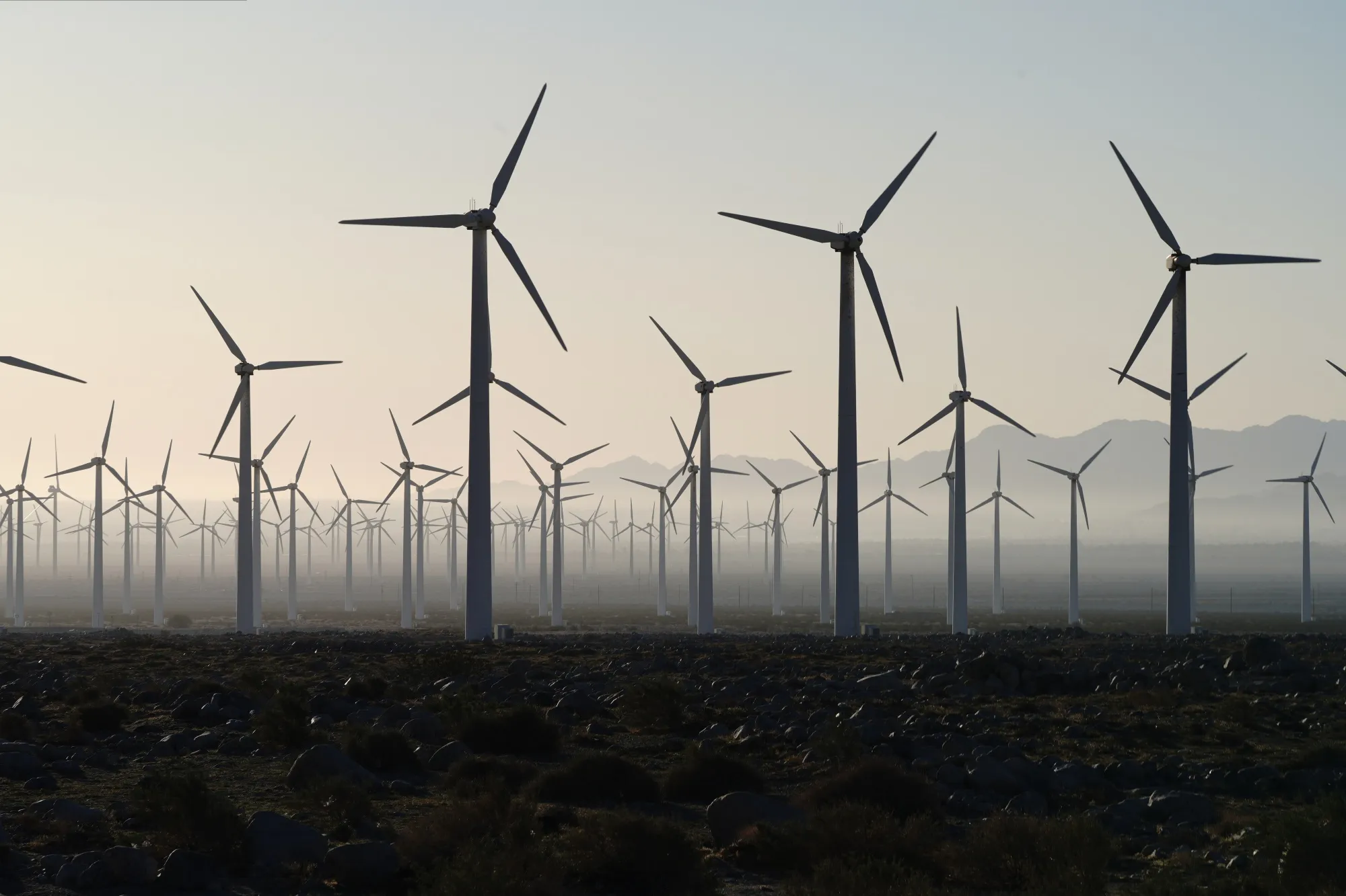 A wind farm, owned by NextEra Energy Inc., in Whitewater, California.