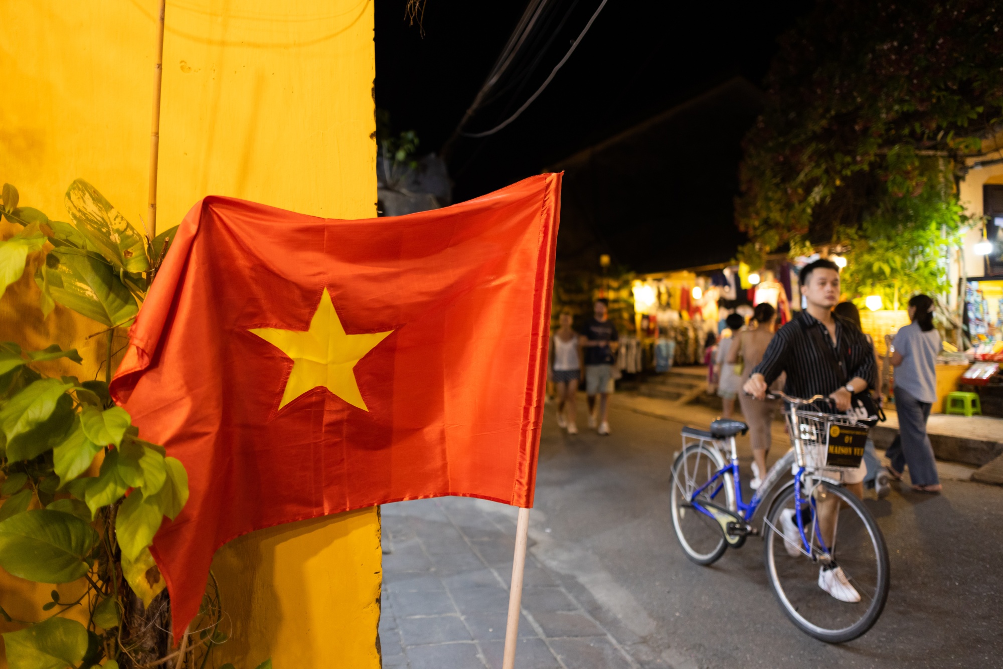 Vietnam's bamboo diplomacy: Long-lasting lessons