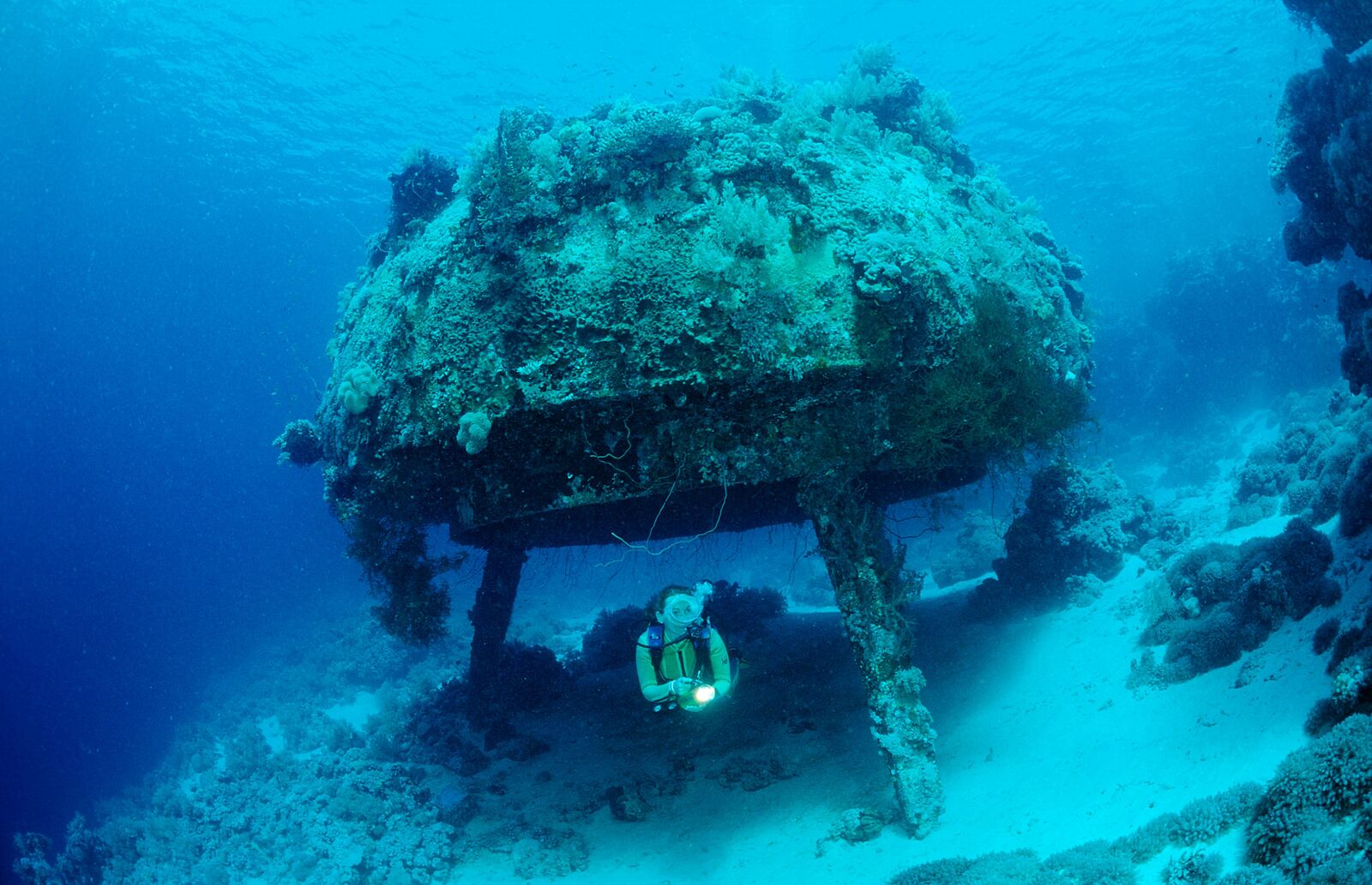 relates to The Next Cousteau Is Building an Underwater Research Wonderland