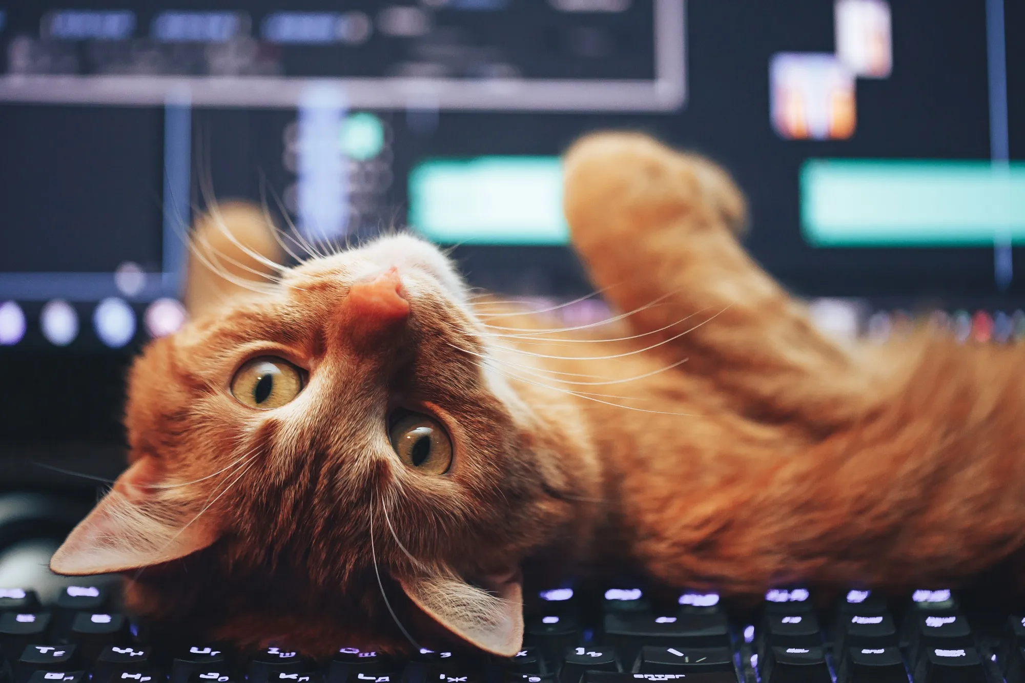 Your new trading assistant.