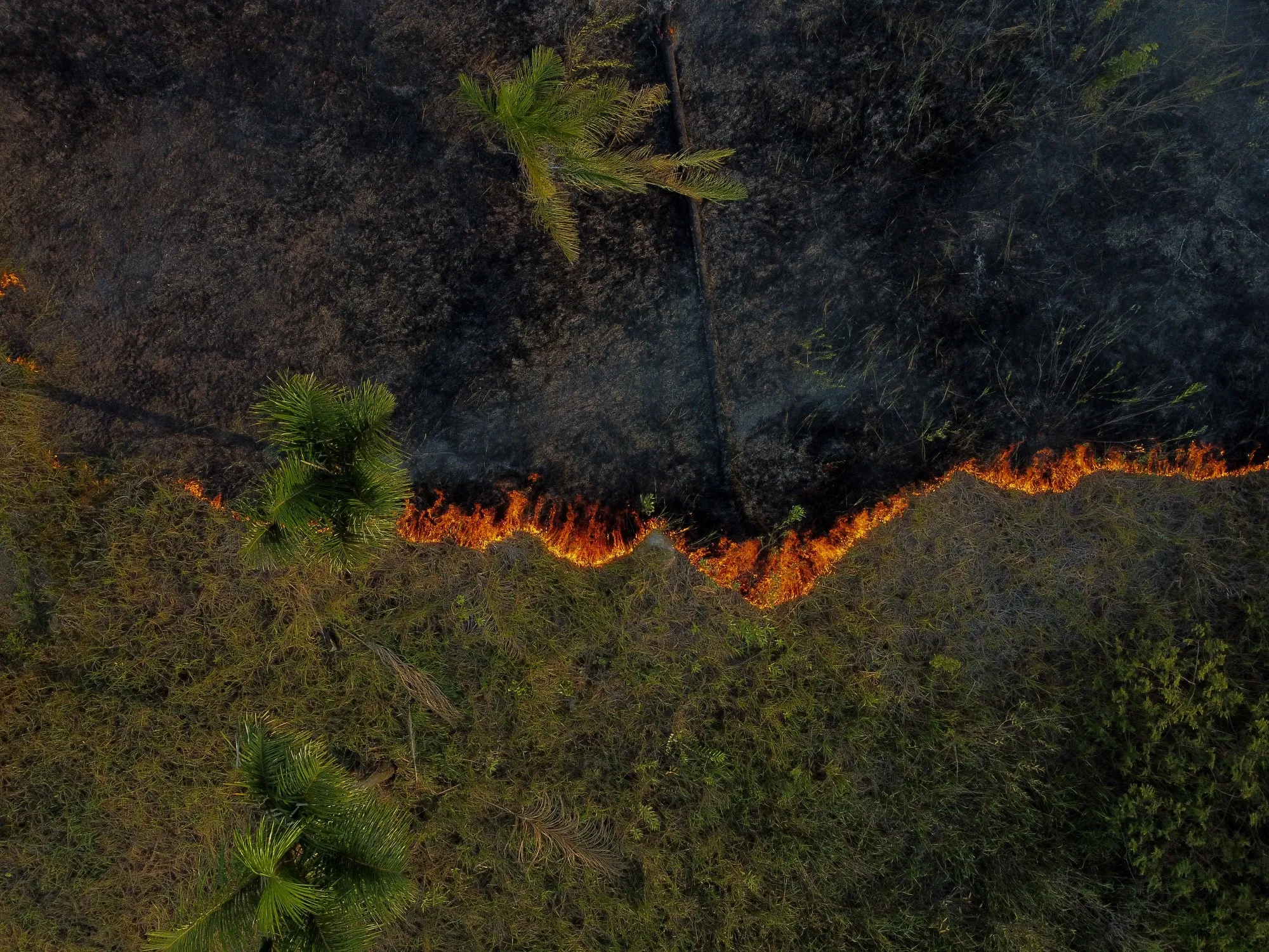 Fire in an area of the Amazon rainforest in Iranduba, metropolitan region of Manaus, Amazonas state, Brazil, on Sept. 5.