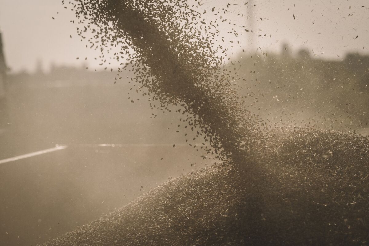 Trans-Oil Bonds Drop as Agricultural Firm Delays Audited Results