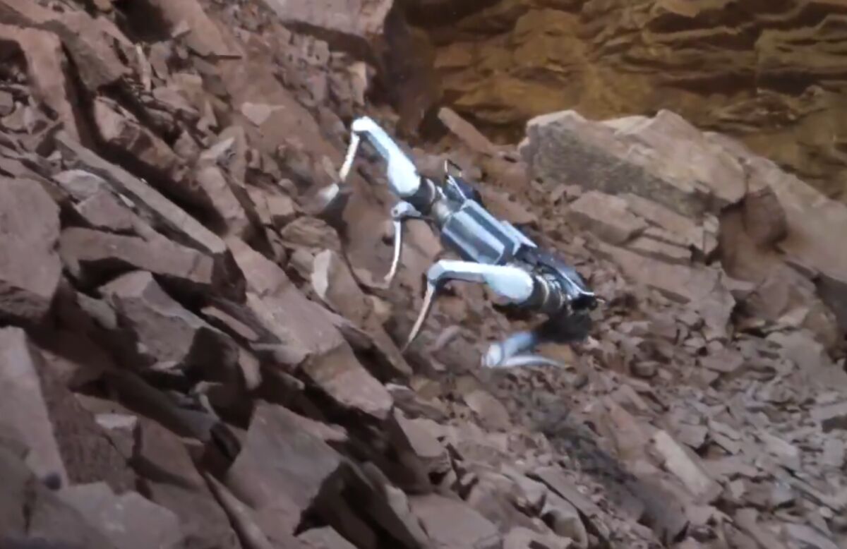 Chinese Robot Stocks Climb After Unitree Teases a Mechanical Dog