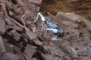 Chinese Robot Stocks Climb After Unitree Teases a Mechanical Dog