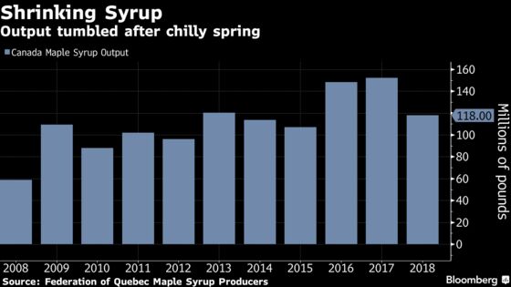 Canada's Cold Spring Means 22% Drop for Maple Syrup Production