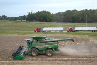 Soy Edges Higher After Trump Says He Will Strike Deal With China 
