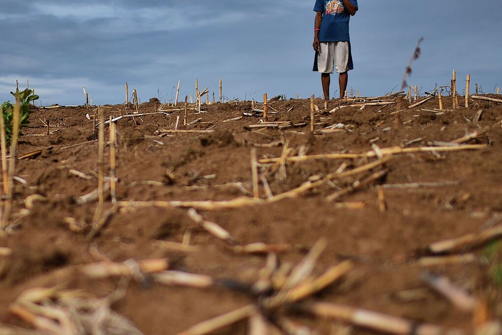 Philippines Braces for Drought as El Nino to Persist Until 2024 - Bloomberg