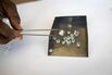 De Beers Hoovers Up Its Best Diamonds From the African Seabed 