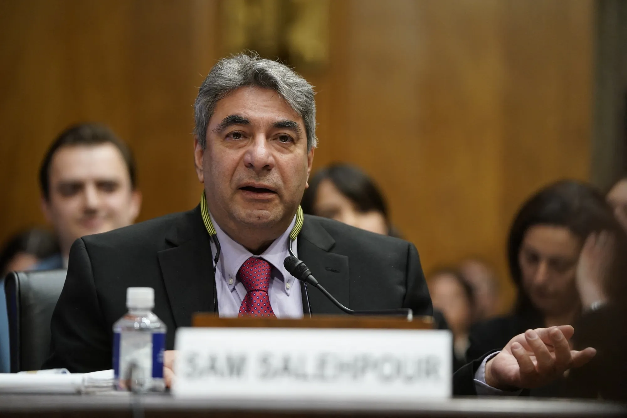 Sam&nbsp;Salehpour, a longtime Boeing employee, expressed concerns about the 787 Dreamliner.