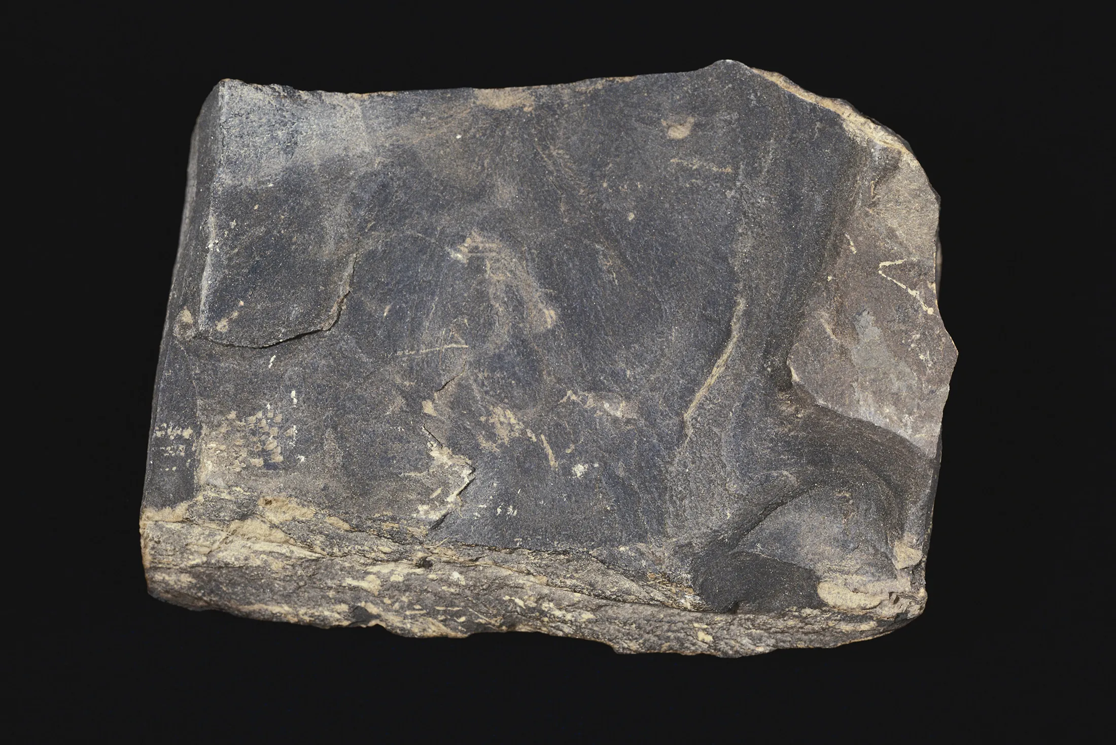 Oil shale from Garfield County, Colo.