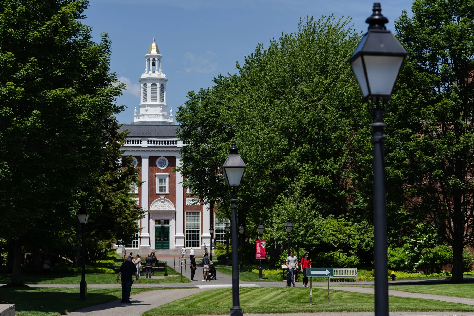 Harvard’s $699 bootcamp deploys AI avatars for student feedback