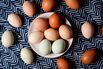 We’re Here to Unscramble the Hype Behind Pricey Cage-Free Eggs