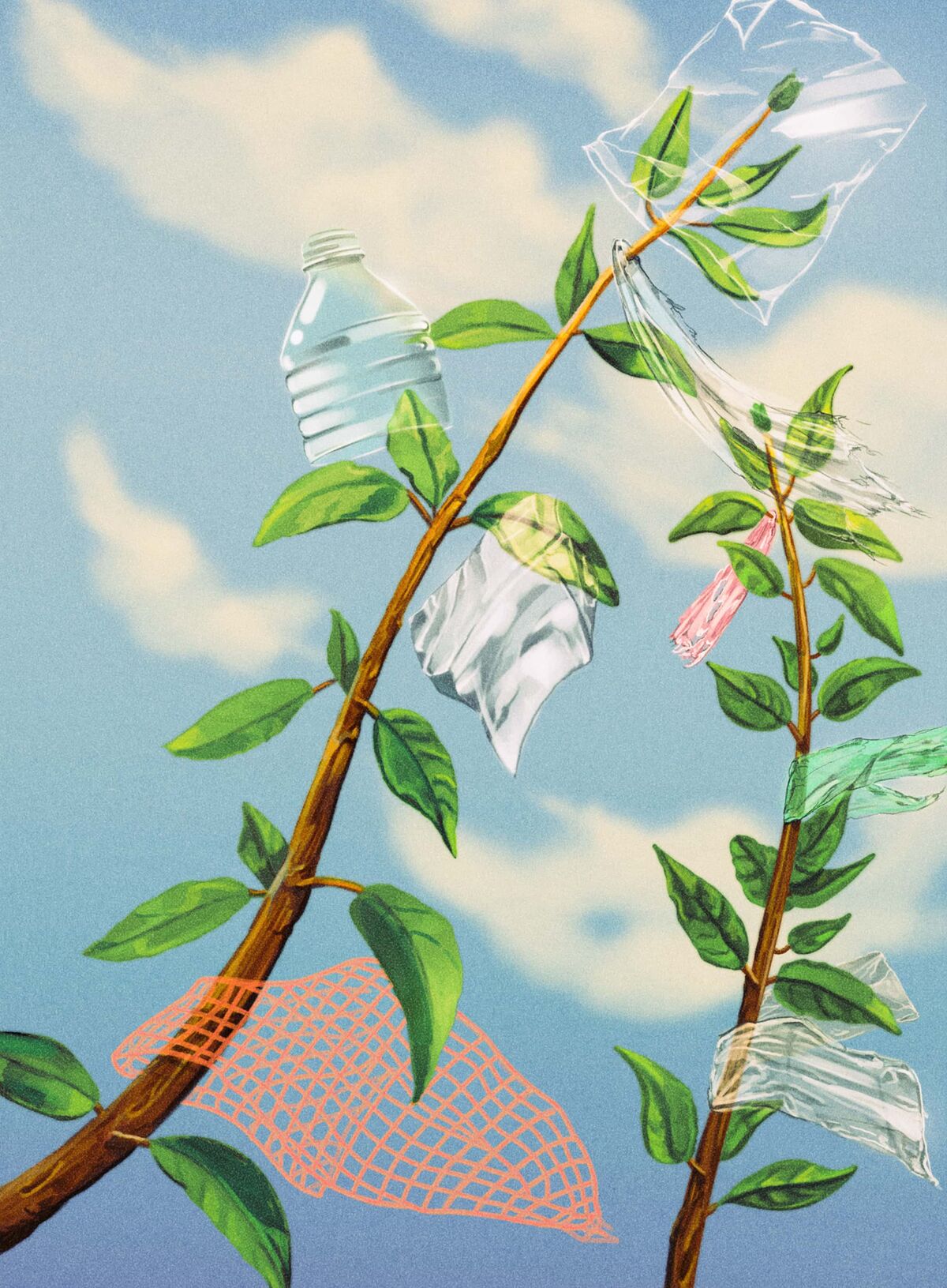 assets.bwbx.io image