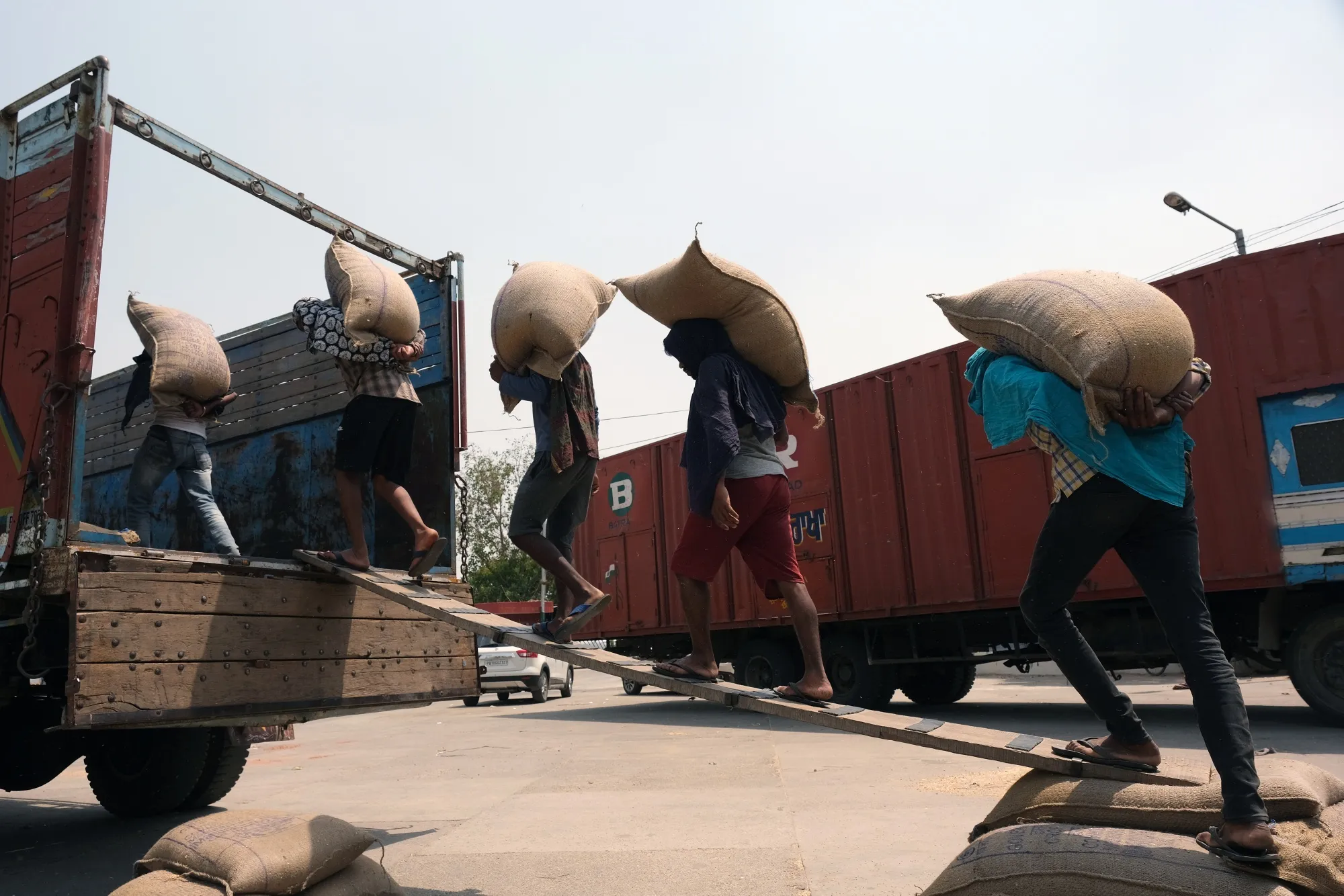 Wheat Harvest As India Experiences Heat Wave