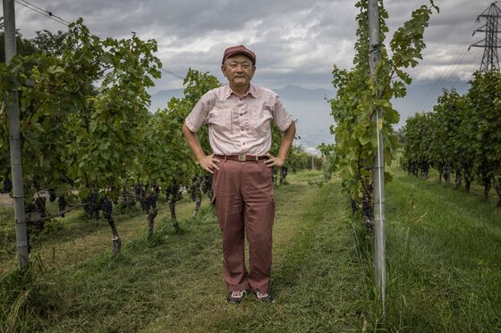 Japan's Oldest Winemaker Readies for European Grape Onslaught