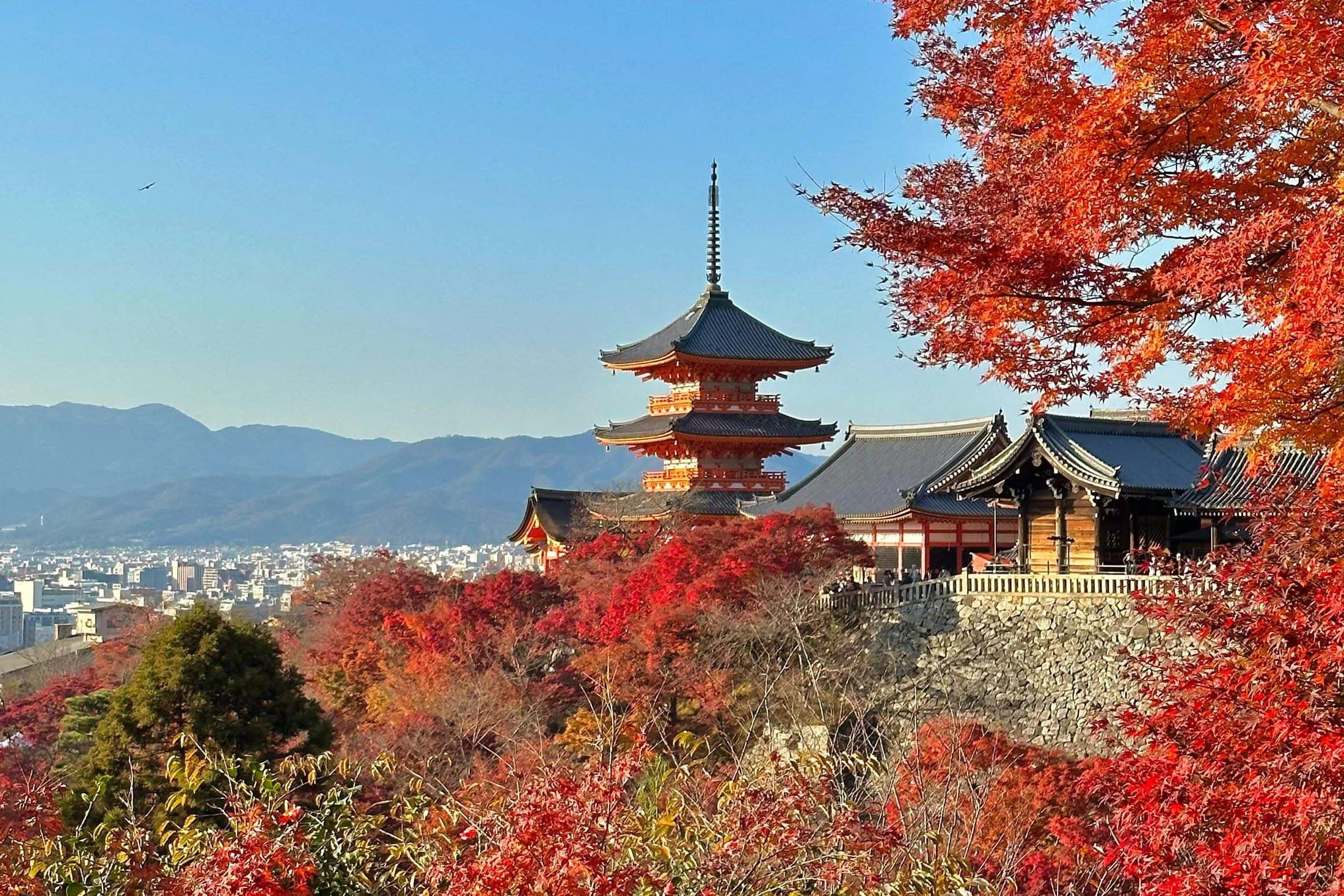 How I Booked a Luxury Honeymoon in Japan and Vietnam Using Points and Miles  | Condé Nast Traveler, image size:2200x1467