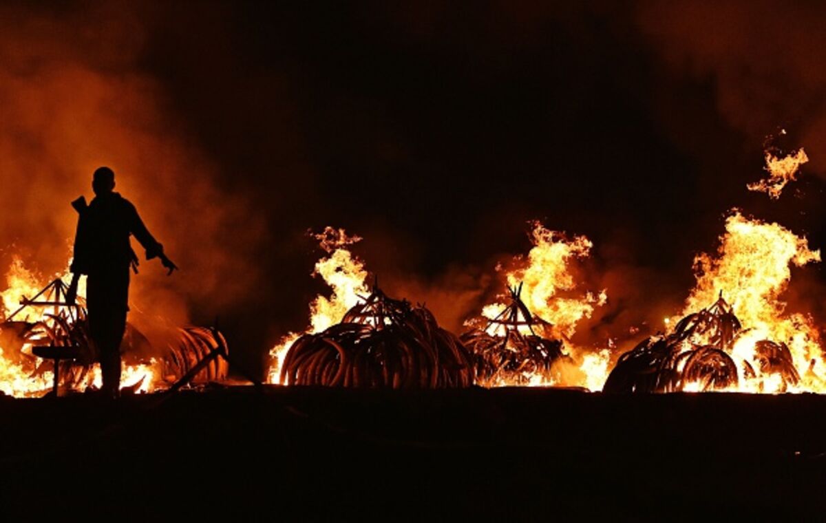 Фото панорама пламени. Its burning. Огонь. Пламя. Its just a burning memory ноты для фортепиано.